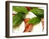 Close-Up of Fresh Mozzarella and Tomato Salad-Foodcollection-Framed Photographic Print