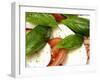 Close-Up of Fresh Mozzarella and Tomato Salad-Foodcollection-Framed Photographic Print