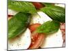 Close-Up of Fresh Mozzarella and Tomato Salad-Foodcollection-Mounted Photographic Print