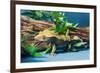 Close-up of Gecko lizard-null-Framed Photographic Print