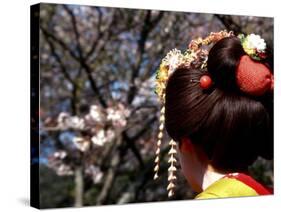 Close-up of Geisha on Philosophers Path, Kyoto, Japan-Nancy & Steve Ross-Stretched Canvas