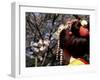 Close-up of Geisha on Philosophers Path, Kyoto, Japan-Nancy & Steve Ross-Framed Photographic Print