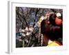 Close-up of Geisha on Philosophers Path, Kyoto, Japan-Nancy & Steve Ross-Framed Photographic Print