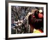 Close-up of Geisha on Philosophers Path, Kyoto, Japan-Nancy & Steve Ross-Framed Photographic Print