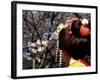 Close-up of Geisha on Philosophers Path, Kyoto, Japan-Nancy & Steve Ross-Framed Photographic Print