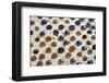 Close up of glass marbles in sand-John Gollings-Framed Photo