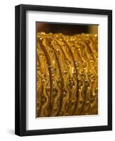 Close up of Gold Bangles on Display, the Gold Souk, Deira, Dubai, United Arab Emirates, Middle East-Amanda Hall-Framed Photographic Print