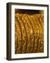 Close up of Gold Bangles on Display, the Gold Souk, Deira, Dubai, United Arab Emirates, Middle East-Amanda Hall-Framed Photographic Print