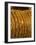 Close up of Gold Bangles on Display, the Gold Souk, Deira, Dubai, United Arab Emirates, Middle East-Amanda Hall-Framed Photographic Print