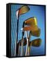 Close-up of Golf Clubs-null-Framed Stretched Canvas