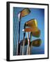 Close-up of Golf Clubs-null-Framed Premium Photographic Print