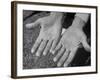 Close Up of Golfer Ben Hogan's Hands-Martha Holmes-Framed Premium Photographic Print