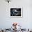 Close-up of Gondolier's Straw Hat and Blue Ribbon, Venice, Veneto, Italy, Europe-Oliviero Olivieri-Framed Photographic Print displayed on a wall