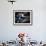 Close-up of Gondolier's Straw Hat and Blue Ribbon, Venice, Veneto, Italy, Europe-Oliviero Olivieri-Framed Photographic Print displayed on a wall