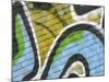 Close-up of Graffiti-null-Mounted Photographic Print