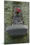 Close Up of Grave-Tim Kahane-Mounted Photographic Print