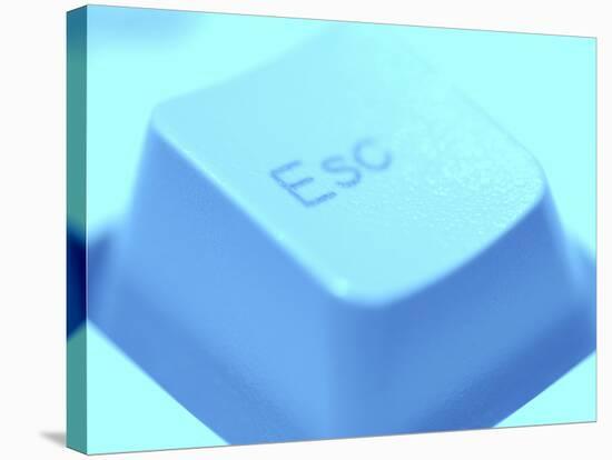 Close-up of Gray Escape Button on Computer Keyboard-null-Stretched Canvas