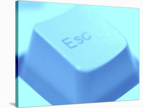 Close-up of Gray Escape Button on Computer Keyboard-null-Stretched Canvas