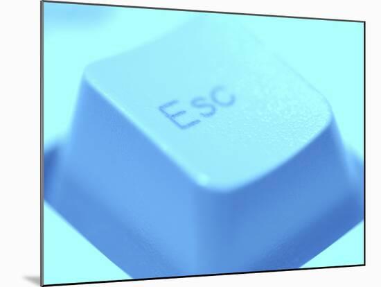 Close-up of Gray Escape Button on Computer Keyboard-null-Mounted Photographic Print
