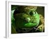 Close Up of Green Bull Frog.-Daniel Gambino-Framed Photographic Print