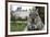 Close-Up of Grey Squirrel (Sciurus Carolinensis) Holding a Nut-Bertie Gregory-Framed Photographic Print