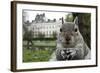 Close-Up of Grey Squirrel (Sciurus Carolinensis) Holding a Nut-Bertie Gregory-Framed Photographic Print