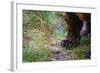 Close-Up of Grizzly Bear's Claws-Paul Souders-Framed Photographic Print