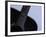 Close-up of Guitar-null-Framed Photographic Print