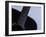 Close-up of Guitar-null-Framed Photographic Print