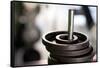 Close-Up of Gym Weightlifting Equipment-Matt Freedman-Framed Stretched Canvas