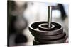 Close-Up of Gym Weightlifting Equipment-Matt Freedman-Stretched Canvas