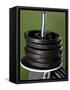 Close-Up of Gym Weightlifting Equipment-Matt Freedman-Framed Stretched Canvas