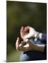 Close-Up of Hands During Meditation-Godong-Mounted Photographic Print