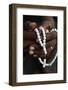 Close-up of hands of African Muslim man praying with Islamic prayer beads (tasbih), Togo-Godong-Framed Photographic Print