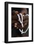 Close-up of hands of African Muslim man praying with Islamic prayer beads (tasbih), Togo-Godong-Framed Photographic Print