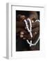 Close-up of hands of African Muslim man praying with Islamic prayer beads (tasbih), Togo-Godong-Framed Photographic Print