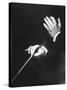 Close Up of Hands of Young Conductor Lorin Maazel-Nina Leen-Stretched Canvas