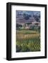 Close Up of Harvest Time Vineyards-Terry Eggers-Framed Photographic Print