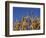 Close-Up of Heads of Ripe Wheat in a Field in England, United Kingdom, Europe-Dominic Harcourt-webster-Framed Photographic Print