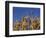 Close-Up of Heads of Ripe Wheat in a Field in England, United Kingdom, Europe-Dominic Harcourt-webster-Framed Photographic Print