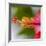 Close-Up of Hibiscus Flower-Richard T. Nowitz-Framed Photographic Print