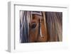 Close Up of Horse Wearing Bridle, Sierra De Gredos, Avila, Castile and Leon, Spain-Juan Carlos Munoz-Framed Photographic Print