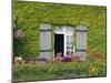 Close-up of House at St. Servan-Sur-Mer, Near St. Malo, Brittany, France, Europe-Philip Craven-Mounted Photographic Print