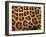 Close-Up of Jaguar Cat Coat,-Staffan Widstrand-Framed Photographic Print