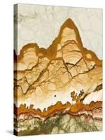 Close-Up of Jasper Stone, Rocky Butte, Oregon, USA-Dennis Kirkland-Stretched Canvas