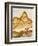 Close-Up of Jasper Stone, Rocky Butte, Oregon, USA-Dennis Kirkland-Framed Photographic Print