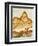 Close-Up of Jasper Stone, Rocky Butte, Oregon, USA-Dennis Kirkland-Framed Photographic Print