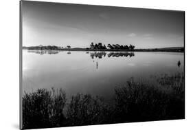 Close Up of Lake-Will Wilkinson-Mounted Photographic Print