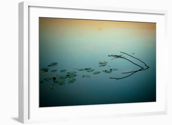 Close Up of Lake-Will Wilkinson-Framed Photographic Print