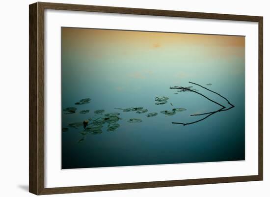 Close Up of Lake-Will Wilkinson-Framed Photographic Print